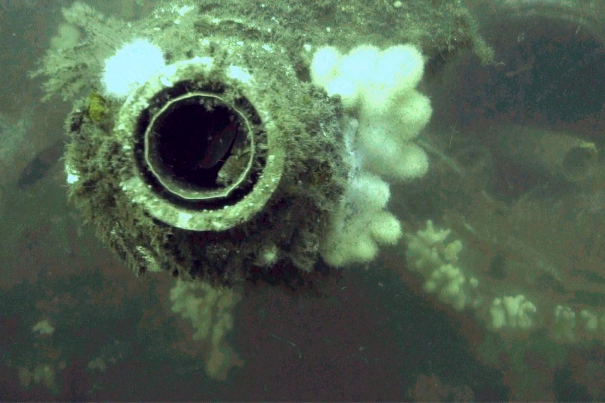 UC-70 submarine machine gun underwater